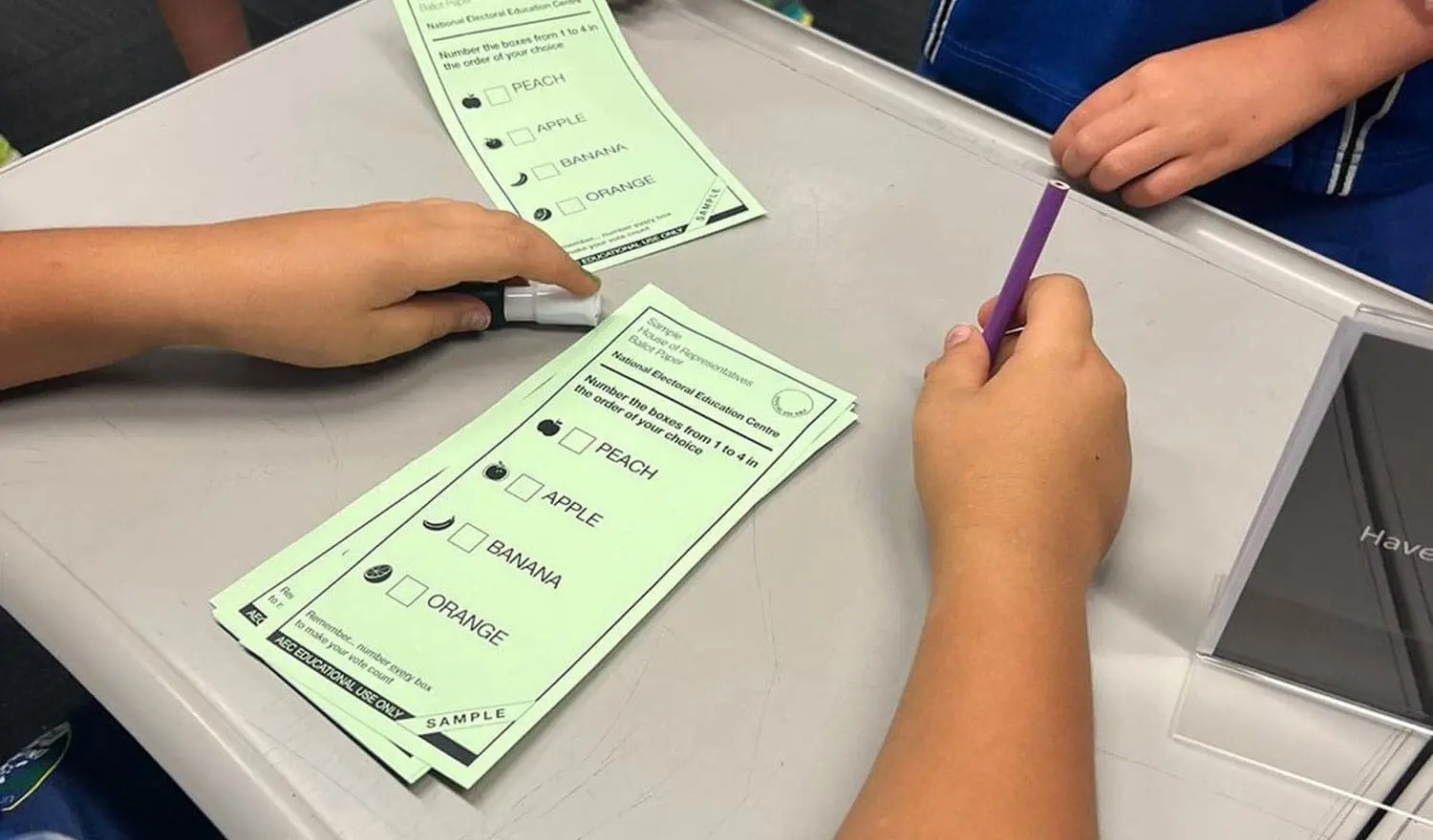 National Electoral Education Centre voting